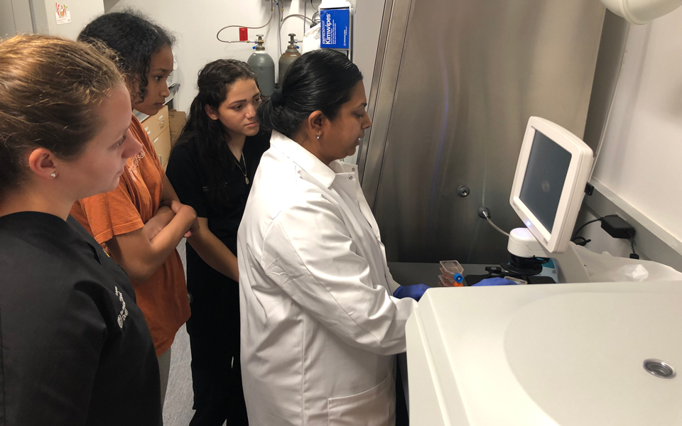 Three SHE participants learning from an instructor in a lab.