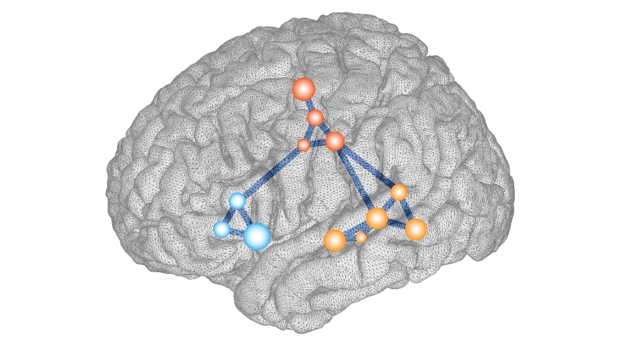Illustration of the left hemisphere of the brain.