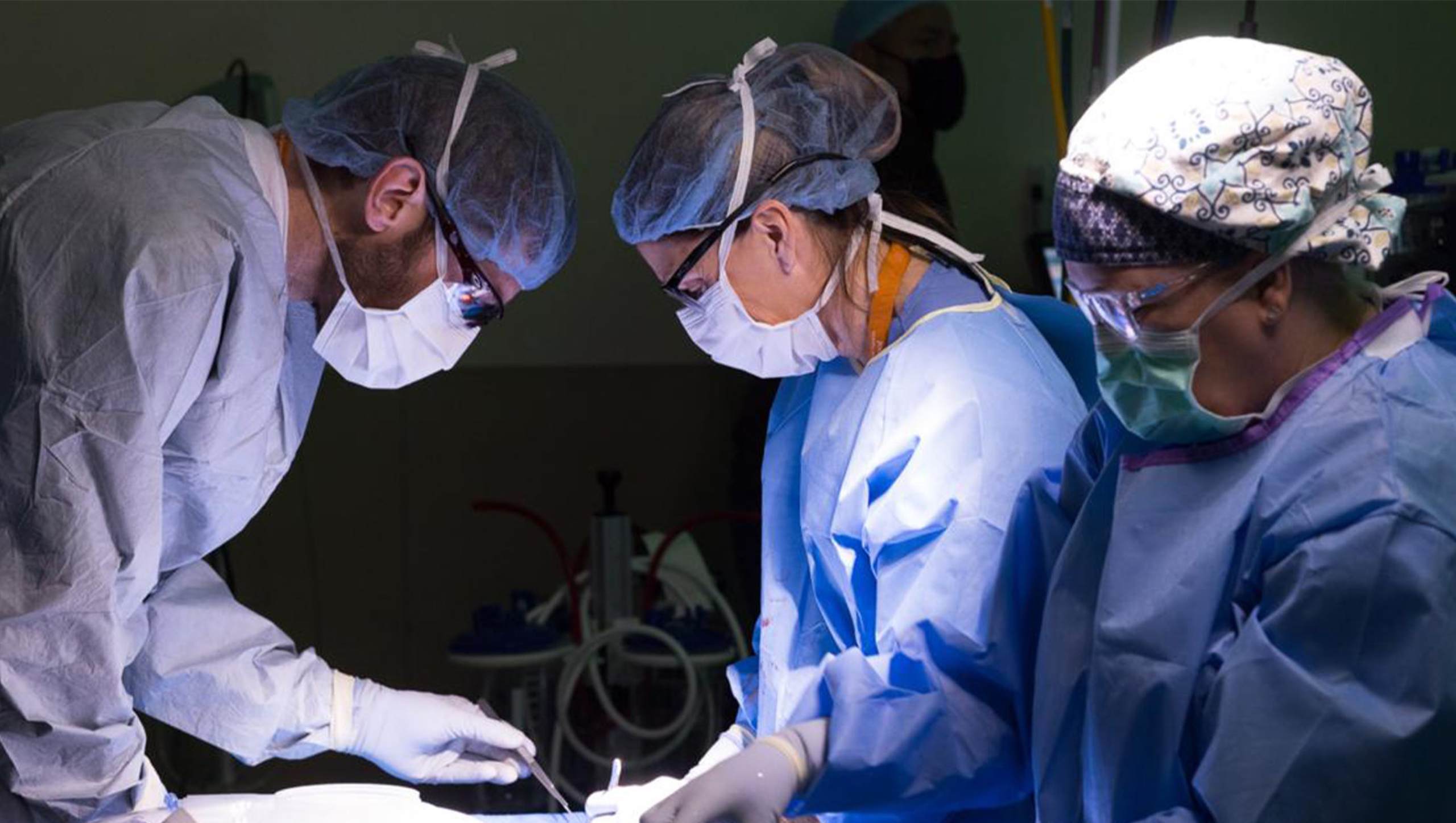 Two transplant surgeons perform a procedure in an operating room while a third looks on close by.