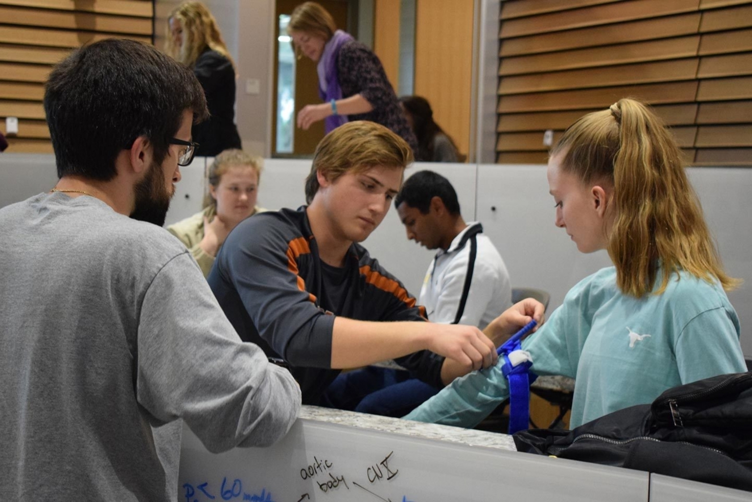 Students practicing blood-drawing techniques.