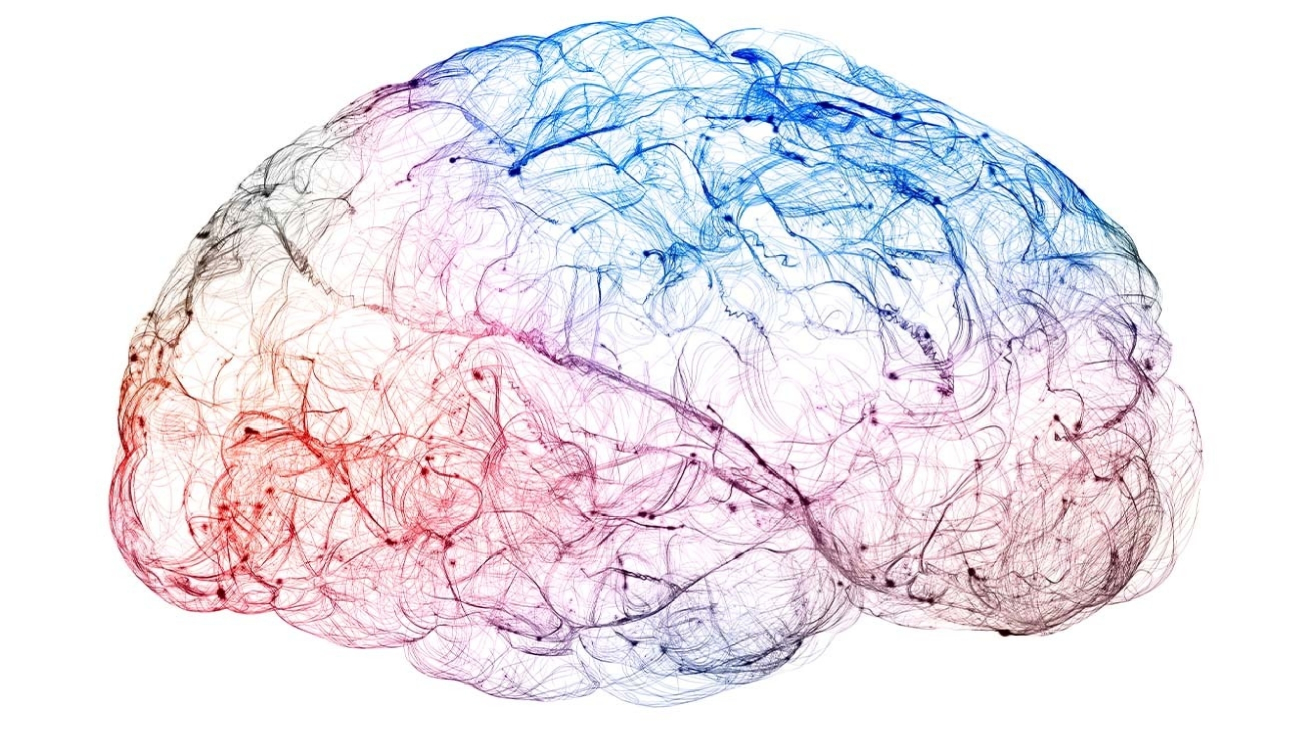 Illustration of the brain that depicts brain activity and neurons through several different colors and paths.